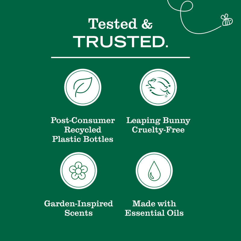 Sugar Pumpkin Dish Soap 3-count Bundle